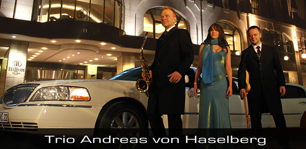 Andreas von Haselberg im Trio